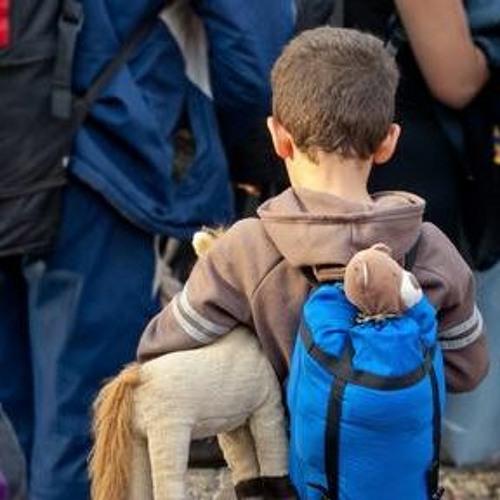 Kindeswohl in schweizer Asylverfahren kommt zu kurz