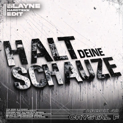 HALT DEINE SCHNAUZE [HARDTEKK EDIT]