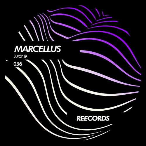 Marcellus - Juicy