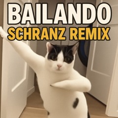 Bailando Schranz remix