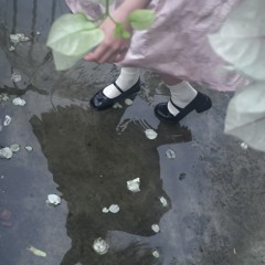 霧雨に包まれた光 Mistlit 안개비 속의 빛