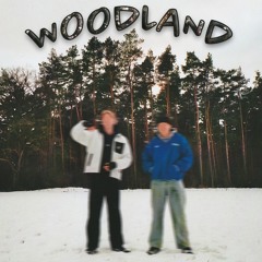 momo - Woodland (feat. plut0)