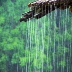 (Depois da chuva)비가 내린 후