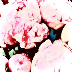 4 Baby Boo <3