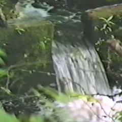 moneycountermuzik (splurcetti)