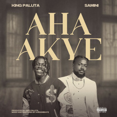 Aha Akye (feat. Samini)