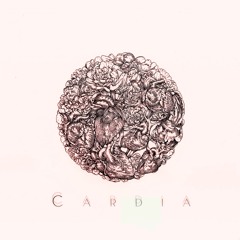 Libros de Magia-Heridas