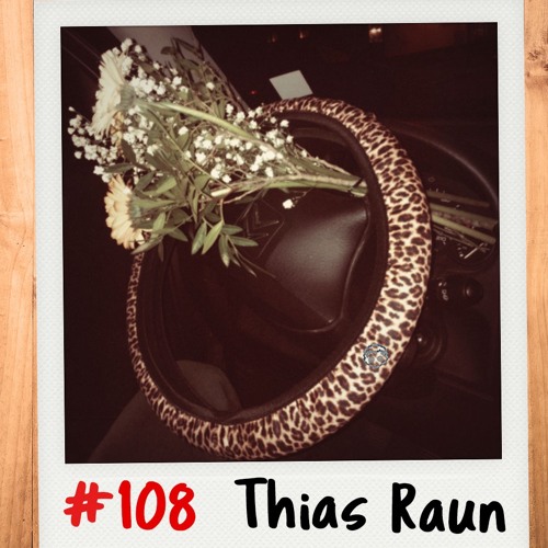 #108 ☆ Igelkarussell ☆ Thias Raun 📣