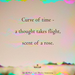 Curve of time [naviarhaiku577]