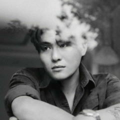 카더가든 Car the garden  나무 Tree