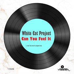 Can You Feel It (original mix)