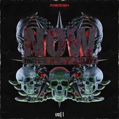 NOW THATS WHAT I CALL HEAVY VOL 1