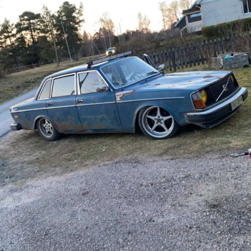 Stream ToyBox Tarzan & Jane (Official Music Video) by plexo_ Listen online for free on