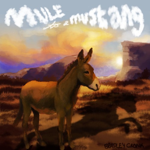 Mule to a Mustang