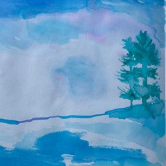 Racing Through The Treetops
