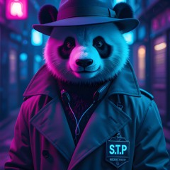 Detective Work - STP