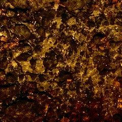 Waves, Bones, Stones, Ancestral Whisperings