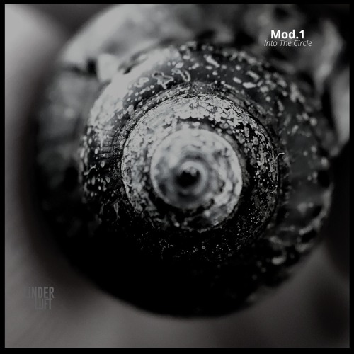 Indefinite Pitch PREMIERES. Mod.1 - Into The Circle [Linderluft]
