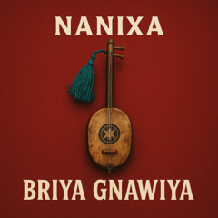Briya Gnawiya