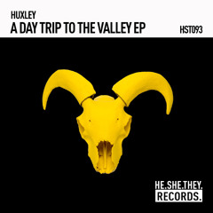PREMIERE: Huxley - Day Tripper [HE.SHE.THEY. RECORDS]