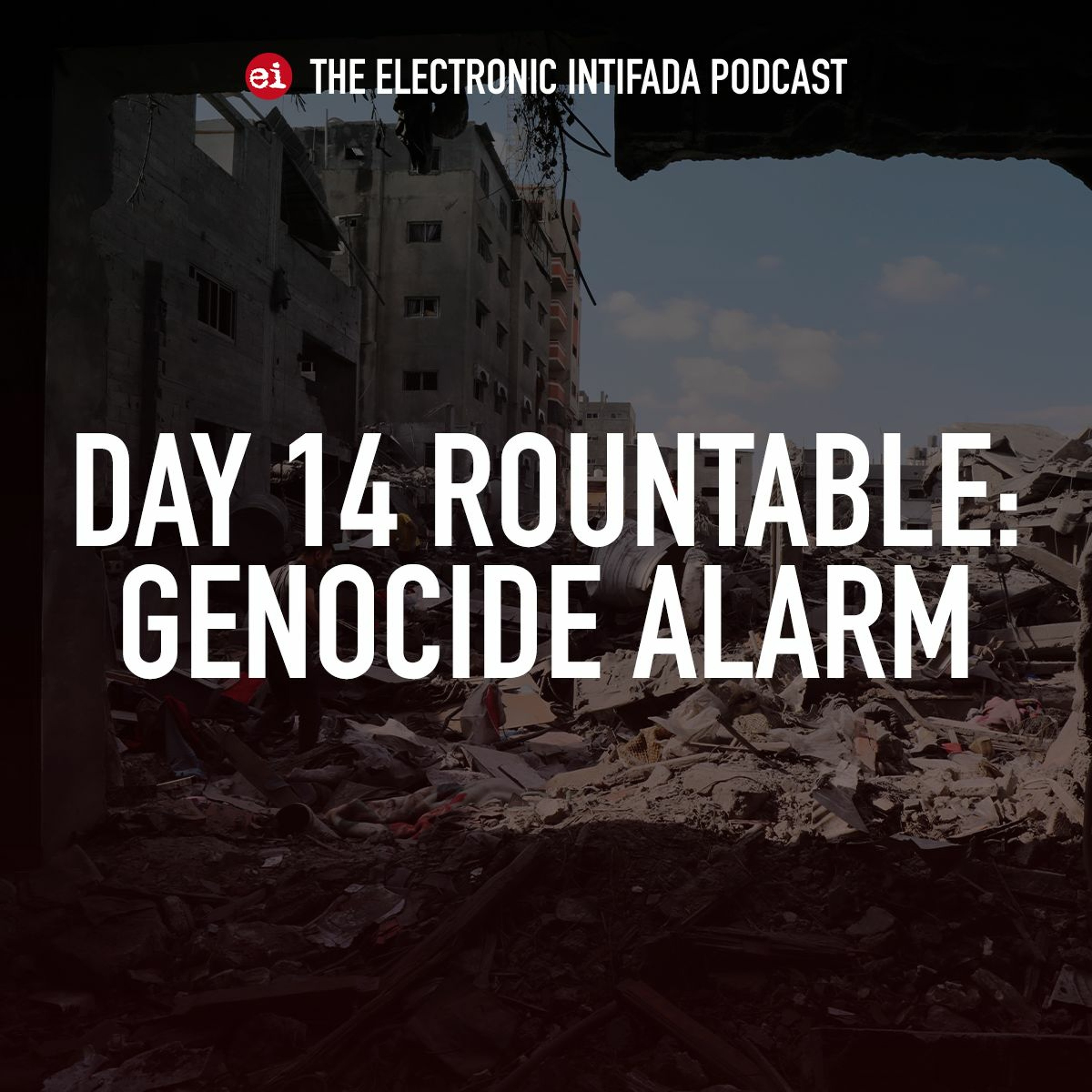 The Electronic Intifada