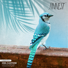 Joel Cantone - Cameras (Original Mix)