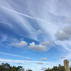 43 - John 約翰福音 요한복음 찬송