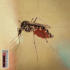 Brother in the Night