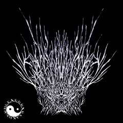 Laxenanchaos - Growing Together In Love