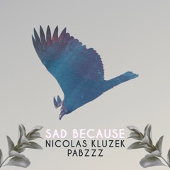 Nicolas Kluzek x Pabzzz - Sad Because