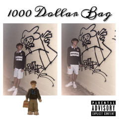 1000 Dollar Bag