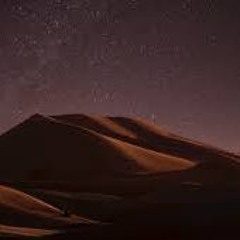 Nightingale Night - Dune