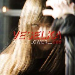 VESELKA PODCAST 088 | 𝙬𝙖𝙡𝙡𝙛𝙡𝙤𝙬𝙚𝙧__