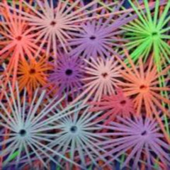Rainbow road remix