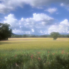 계절범죄