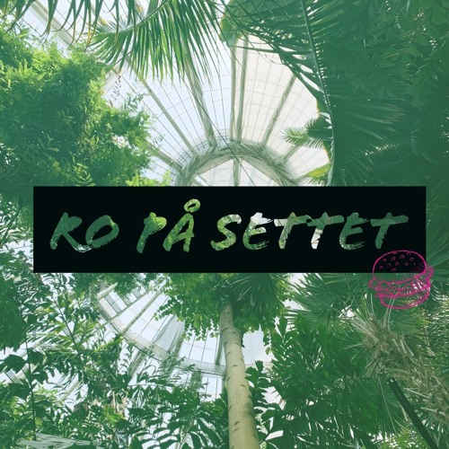 Stream Ro Pa Settet By Bronee Listen Online For Free On Soundcloud