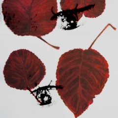 crusey, stomping plastic - eyes (rel, rhekdens)