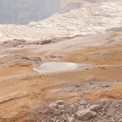 Tutu - From the Black Hole to the Ground Floor