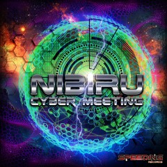 10 Nibiru & Aliensynthesis & Acajou & Psytohigh - Cyber Meeting [202]
