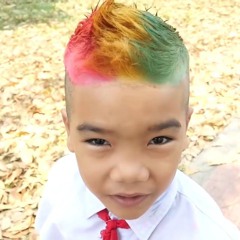 lienchayraxerutcayhang