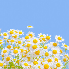 Roulette - Aku Jatuh Cinta   Wardaniaz Cover