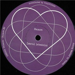 PREMIERE: Unisson - Leacul Lebedelor [UNS Records]