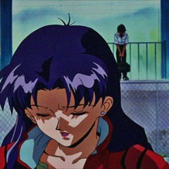 дело Кацураги Мисато