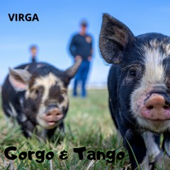 Gorgo & Tango