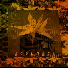 Asphodel