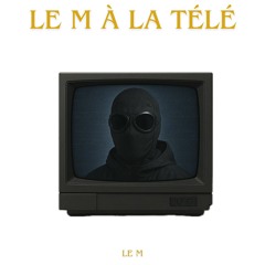 14 - Je ralentis mon esprit de vie