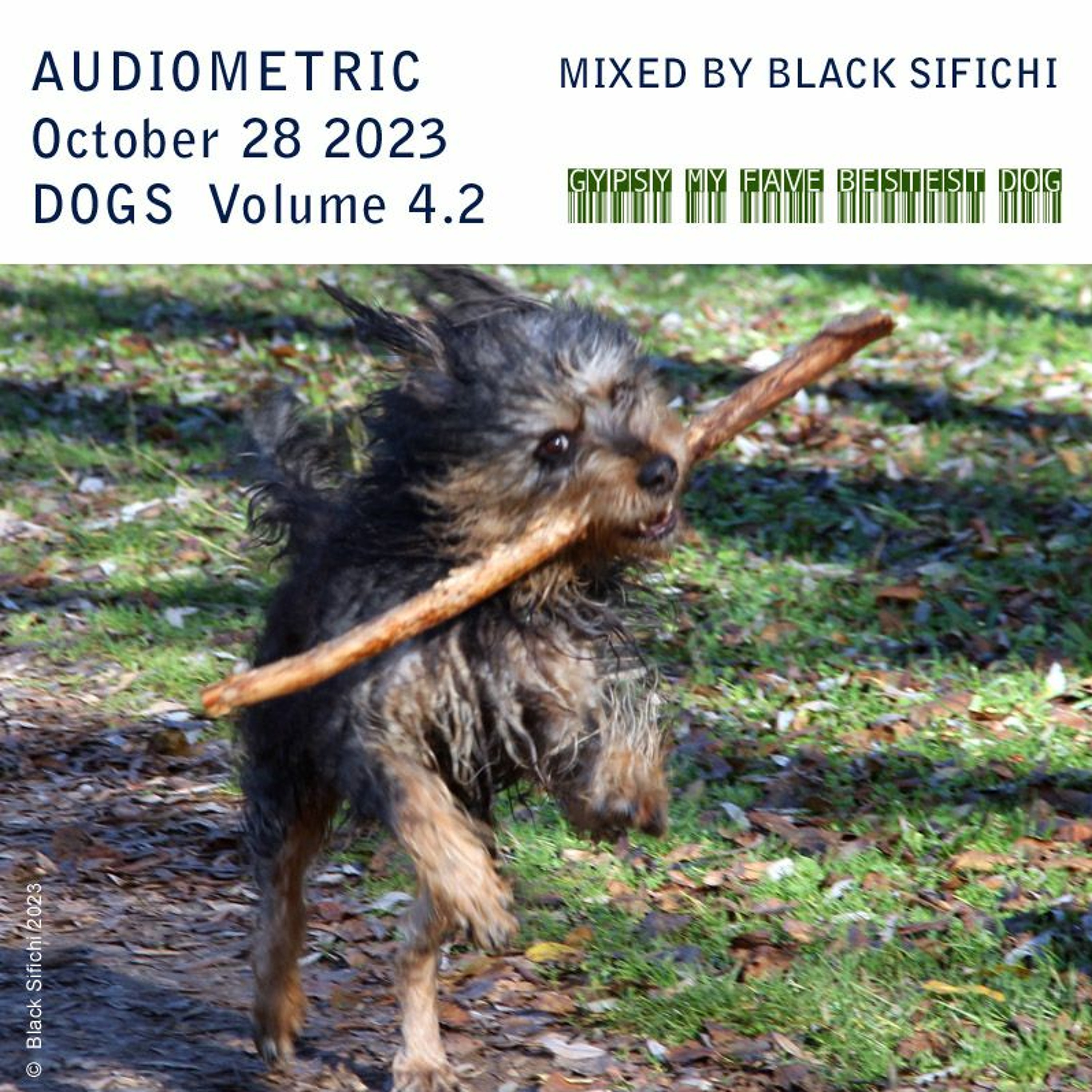 Audiometric October 28 2023 - mixed by Black Sifichi - Dogs Volume 4.2