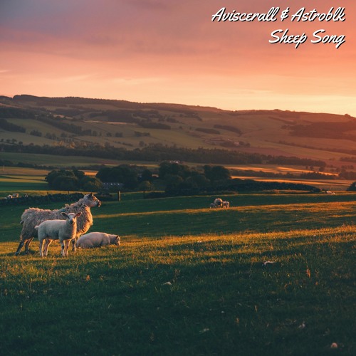 Aviscerall X Astroblk - Sheep Song