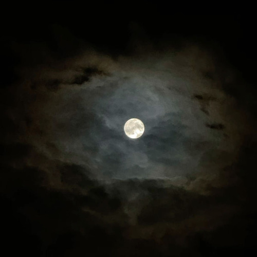 i love you my lune