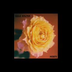 MVINITY | GOLE NAZAM - گل نازم